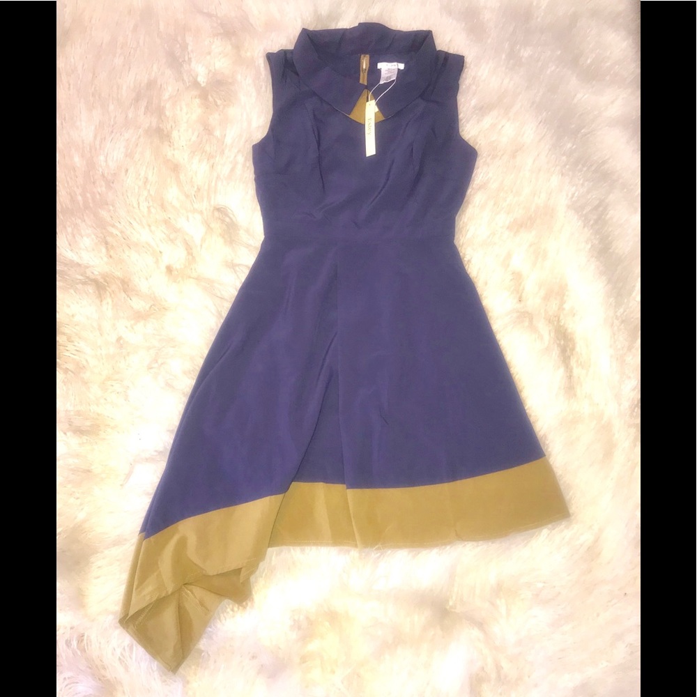 Esley Blue Asymmetrical Dress NWT - Picture 3 of 5